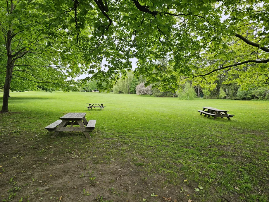 Sala Rideau