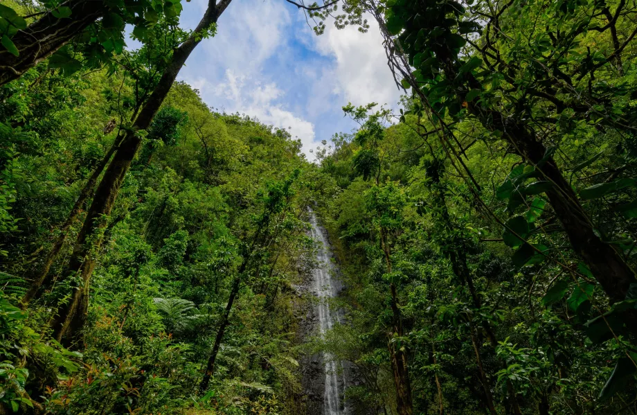 Cataratas Manoa