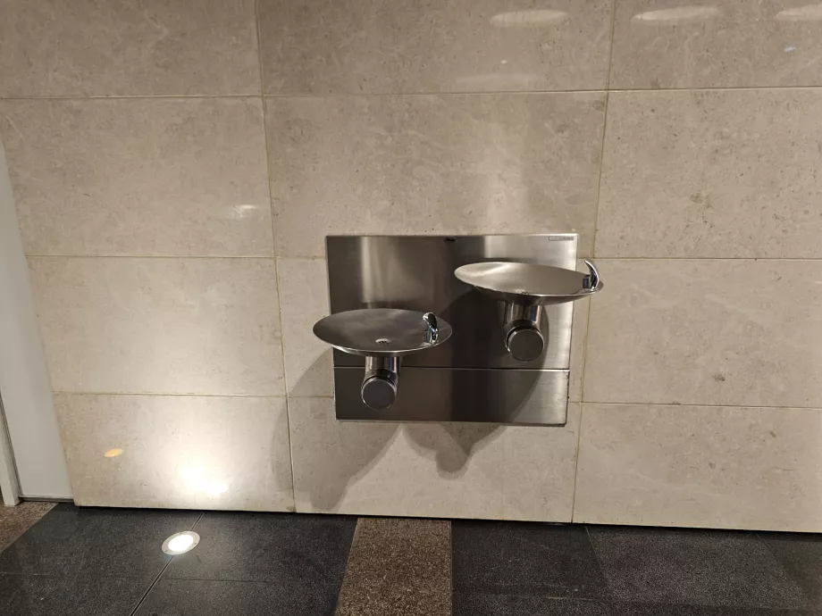 Agua potable