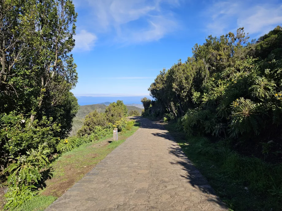 Variante de la ruta al Alto de Garajonay