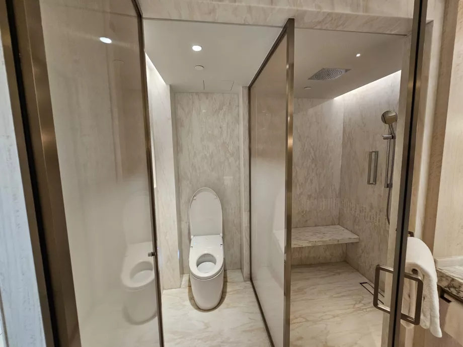 Ducha y aseo - puerta abierta