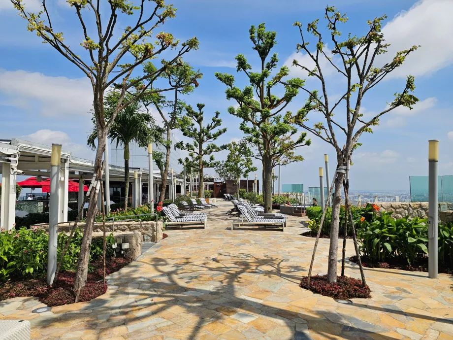 Tumbonas en la azotea del Hotel MBS