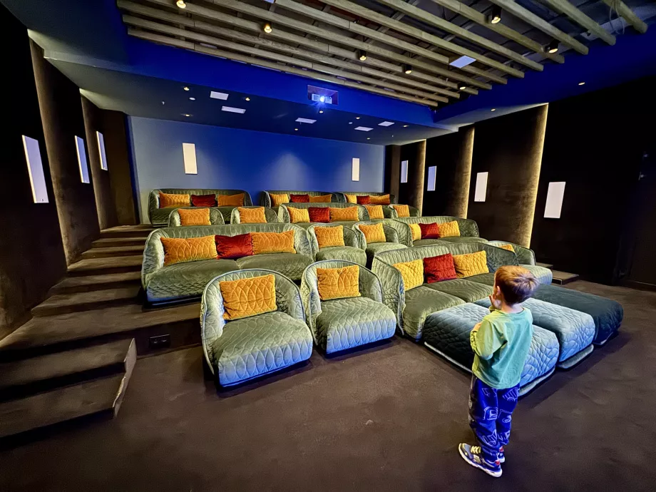 Cine Swissotel Damian Jasna