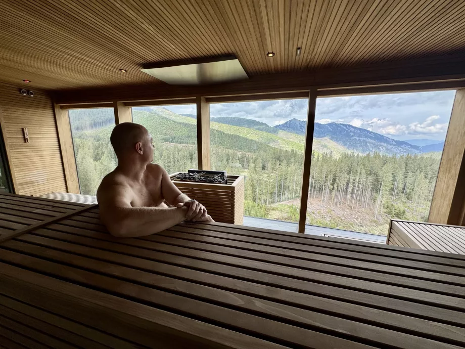 David en la sauna