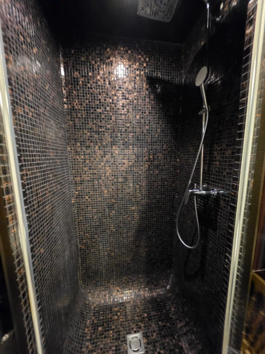 Cabina de ducha en el cuarto de baño contiguo