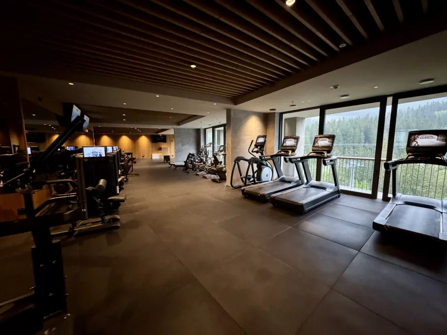 Gimnasio Swissotel Damian Jasna