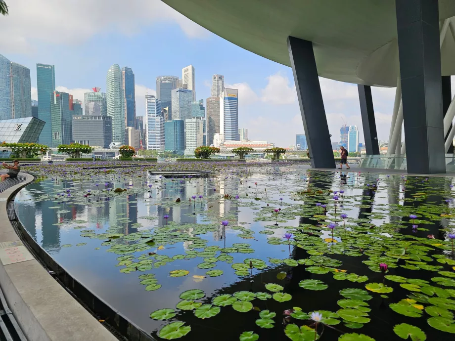 Museo de Arte y Ciencia