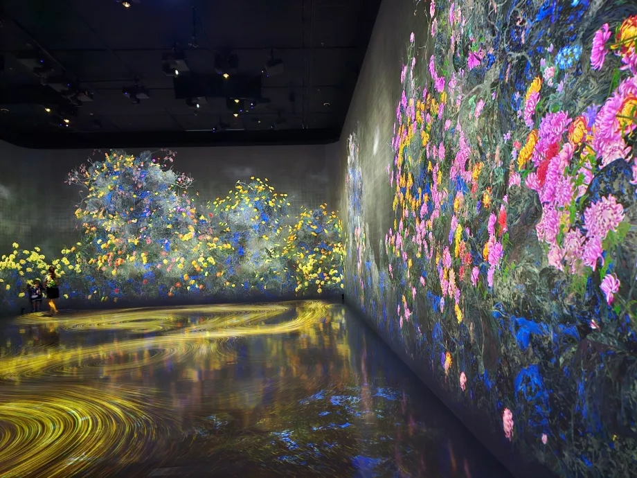 Museo de Arte y Ciencia