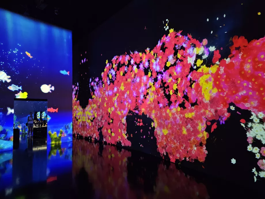 Museo de Arte y Ciencia