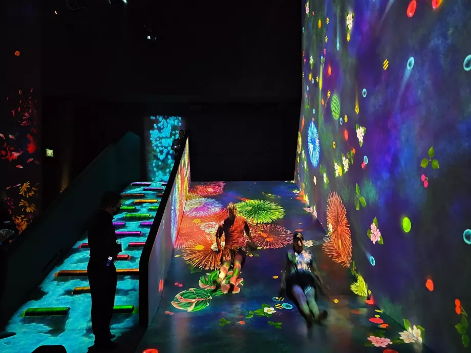 Museo de Arte y Ciencia