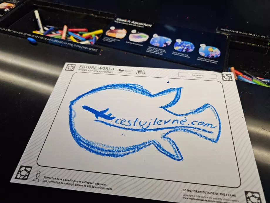 Museo de Arte y Ciencia