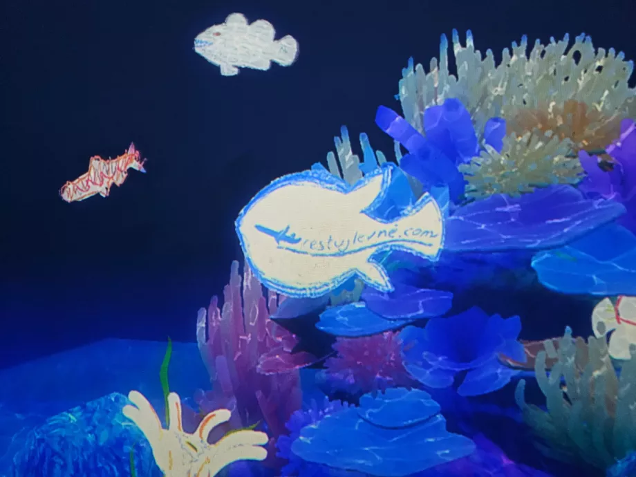 Museo de Arte y Ciencia