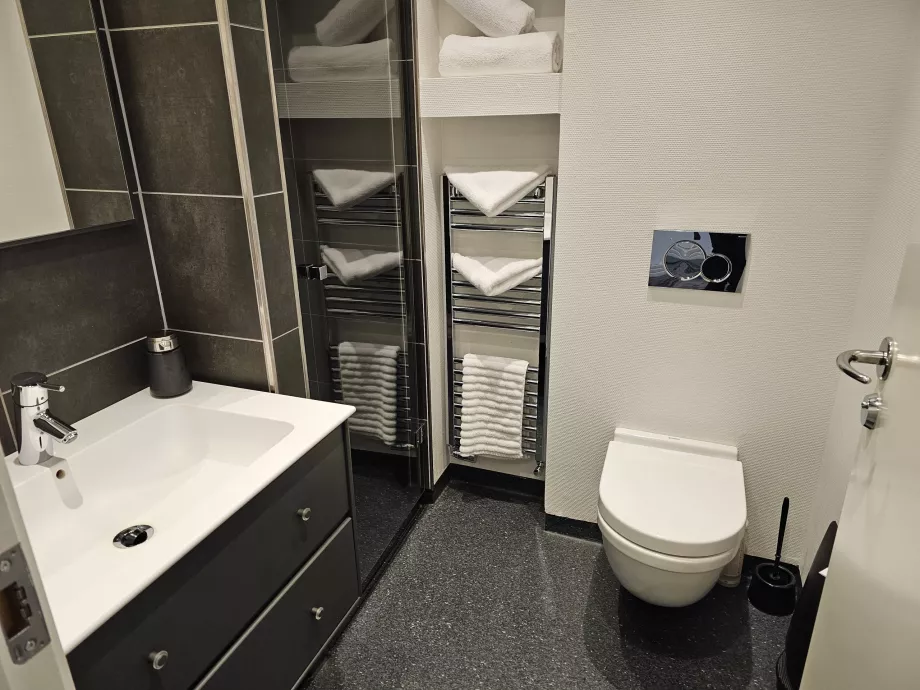 Cuarto de baño, aseo