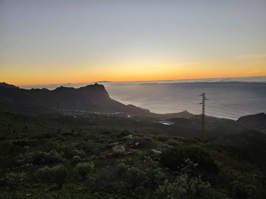 Alojera al atardecer