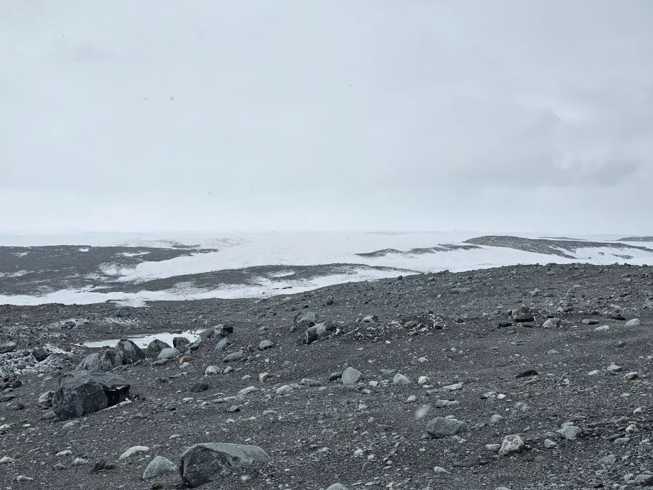 Glaciar Kangia