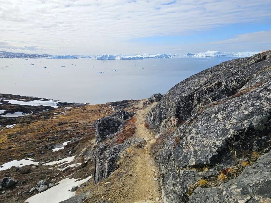 Senderismo por el fiordo glaciar