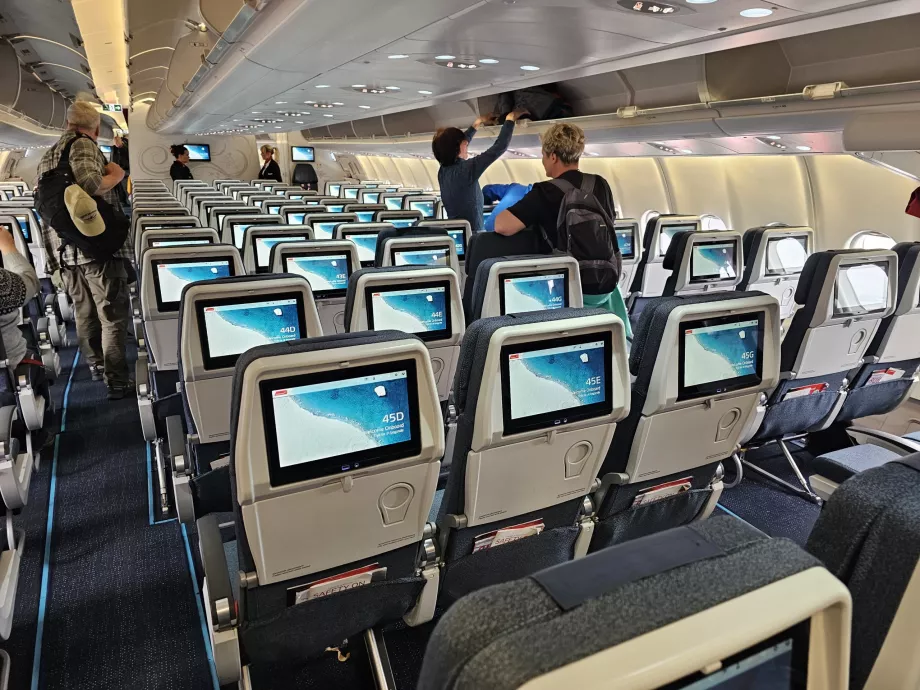 Clase turista, Airbus A330-800