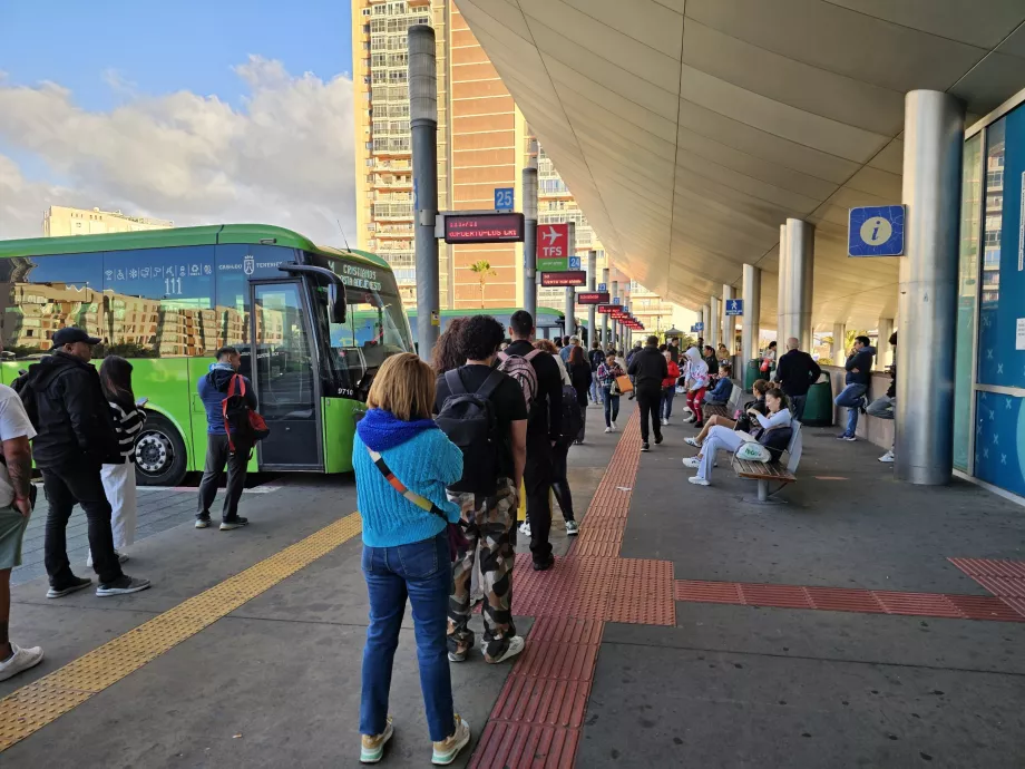 Cola del autobús al aeropuerto TFS