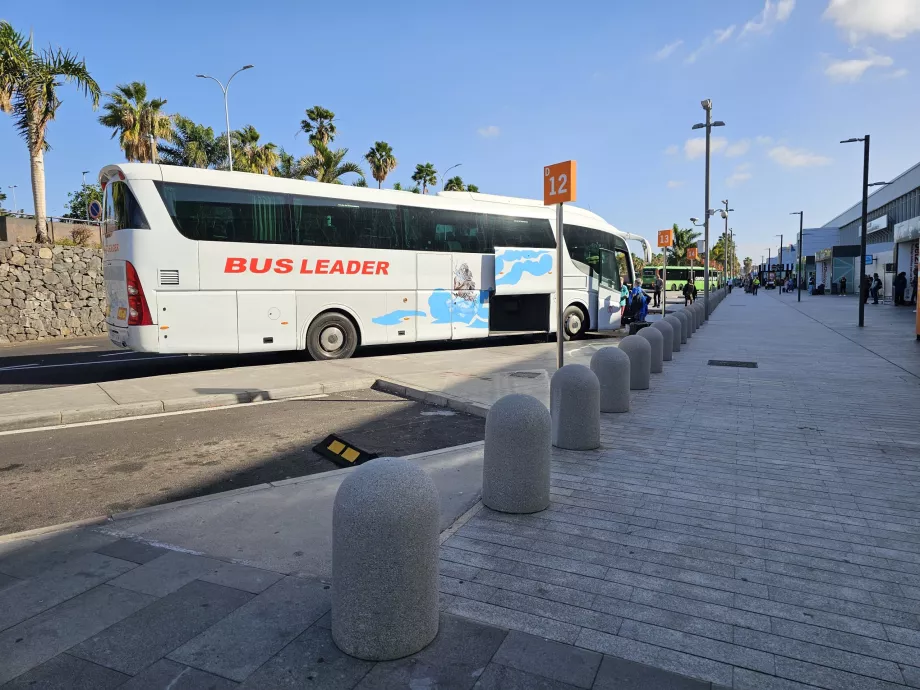 Autobuses turísticos
