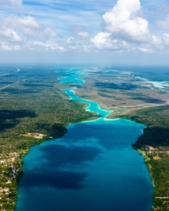 Bacalar