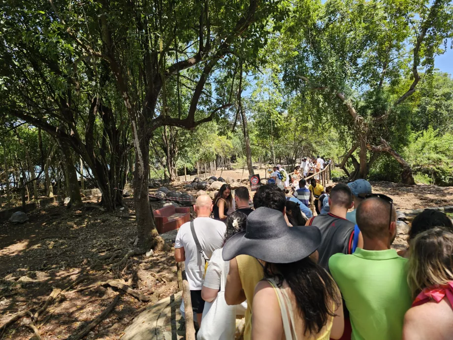 Isla Prisión, un camino a través del recinto de las tortugas gigantes