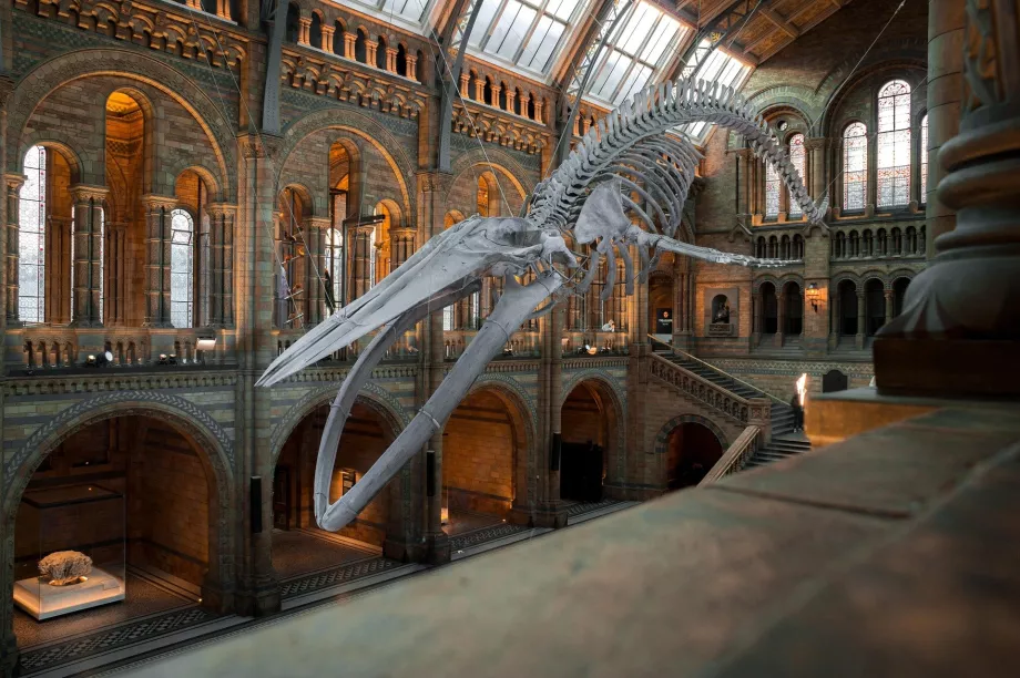 Museo Nacional de la Naturaleza