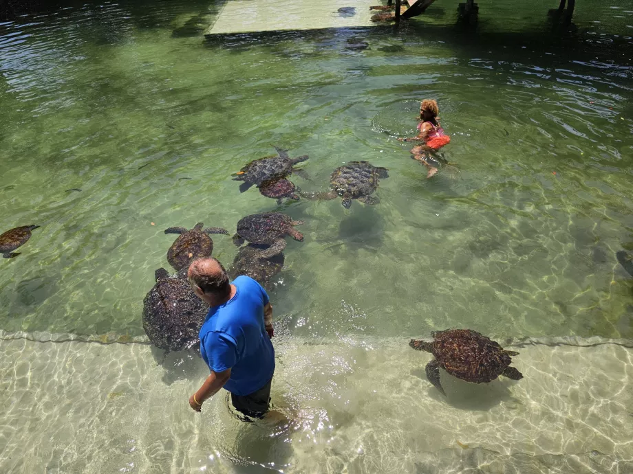 Nungwi, Acuario de Mnarani