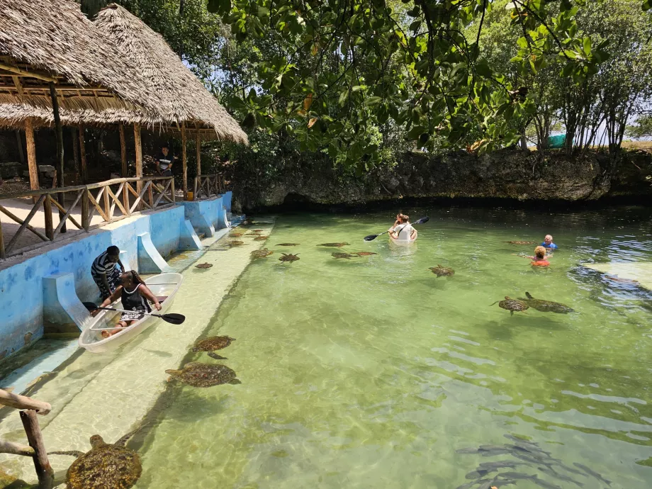 Nungwi, Acuario de Mnarani