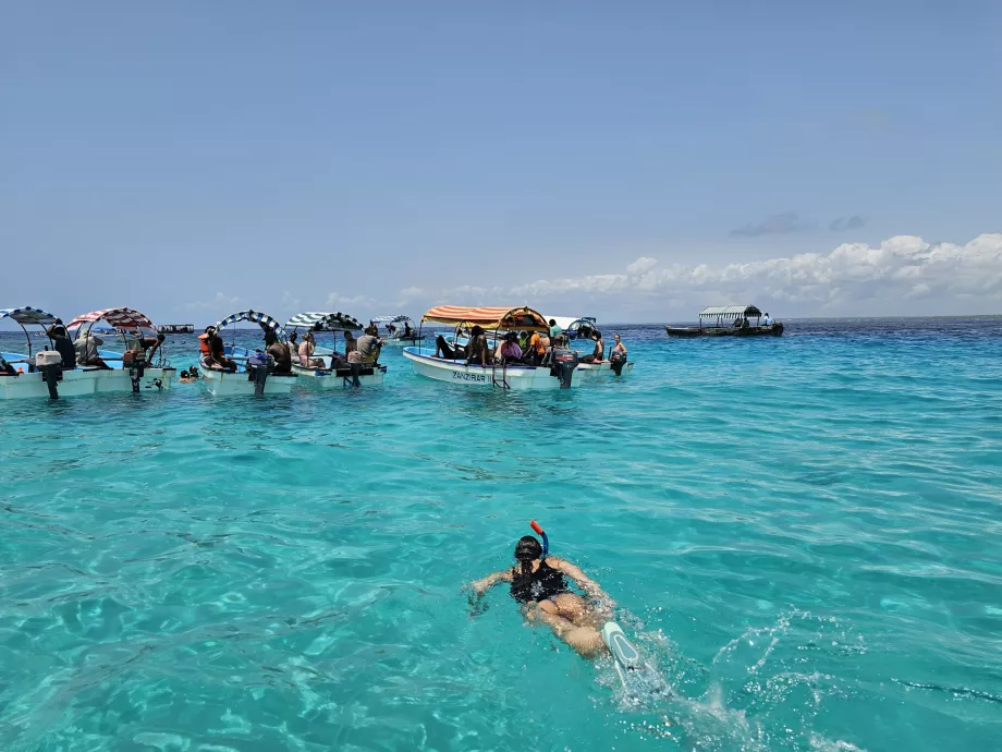 Snorkel cerca del atolón de Mnemba