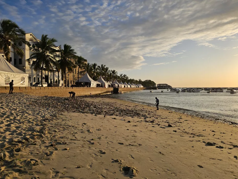 Playa en el paseo marítimo de Forodhani