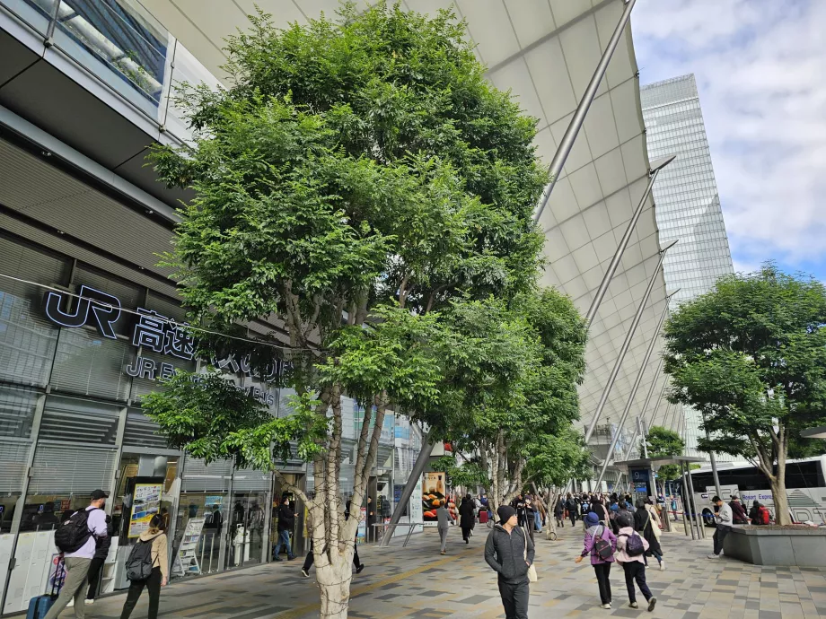 Estación central de autobuses de Tokio