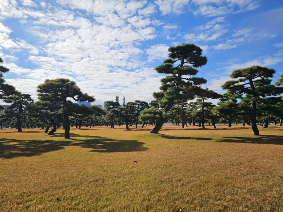Jardín Nacional Kokyo Gaien