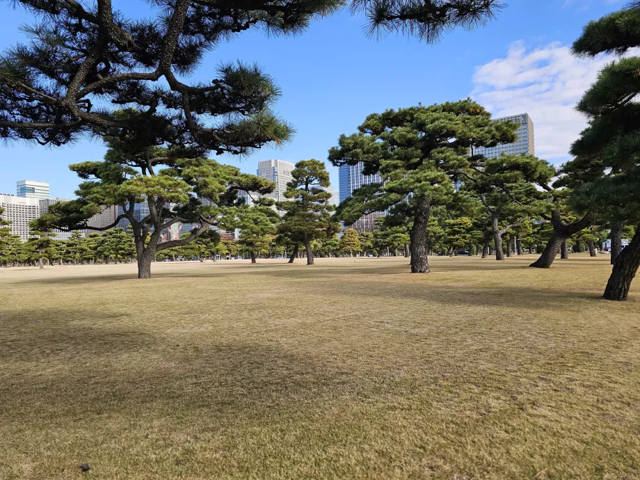Jardín Nacional Kokyo Gaien