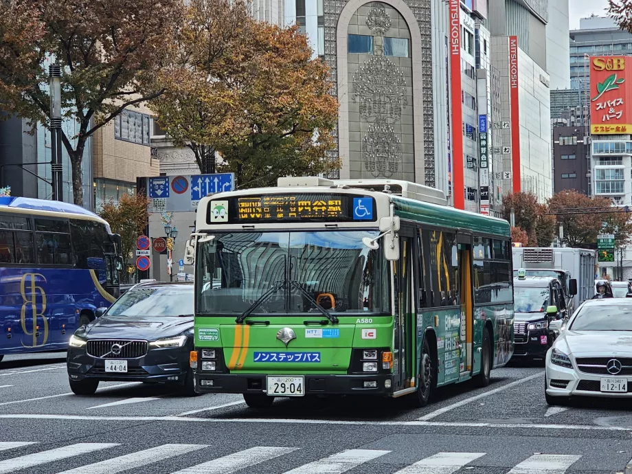 Autobuses de transporte público