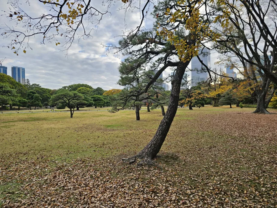 Jardines Hama-rikyu