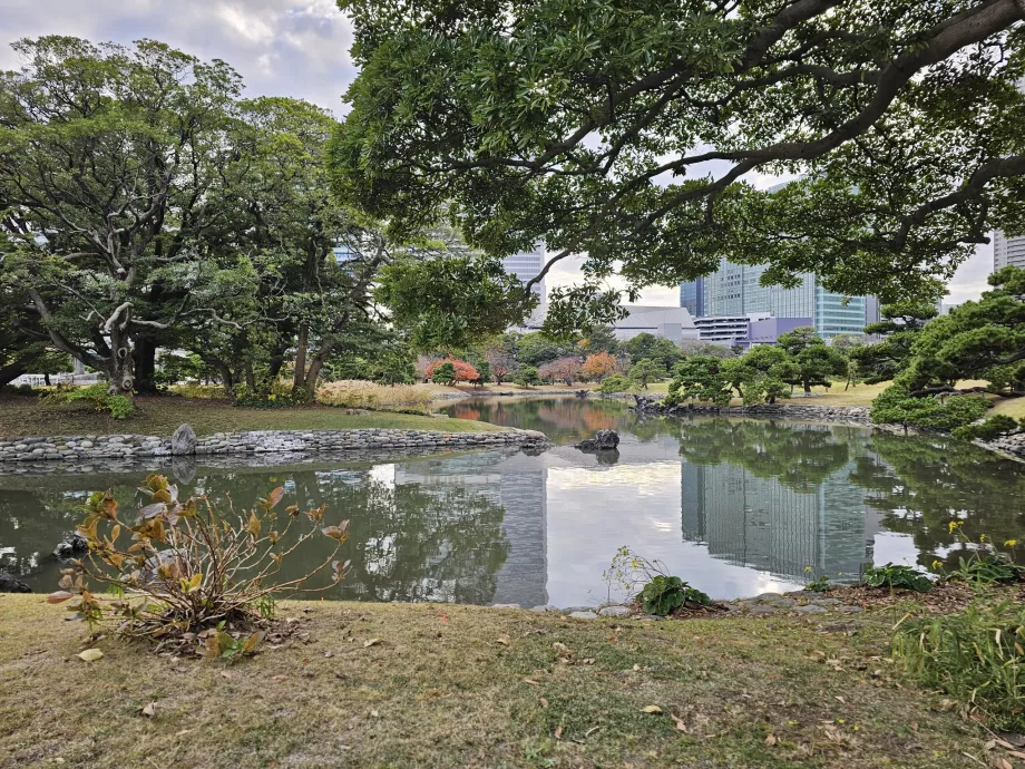 Jardines Hama-rikyu