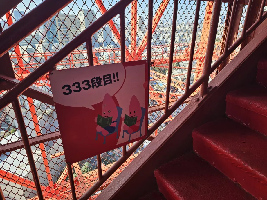 Subiendo las escaleras