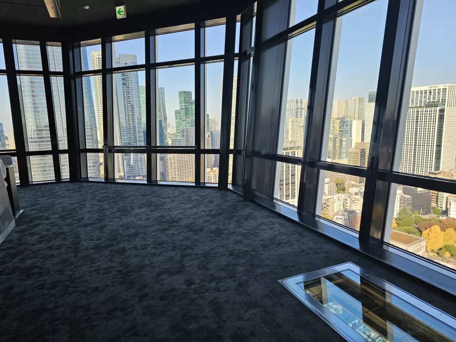 Plataforma principal de observación