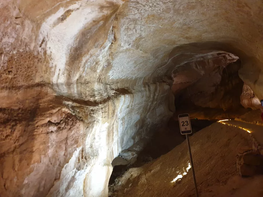 Cueva de Mammoth, Steffen 962 / Wikimedia Commons, CC BY-SA 4.0