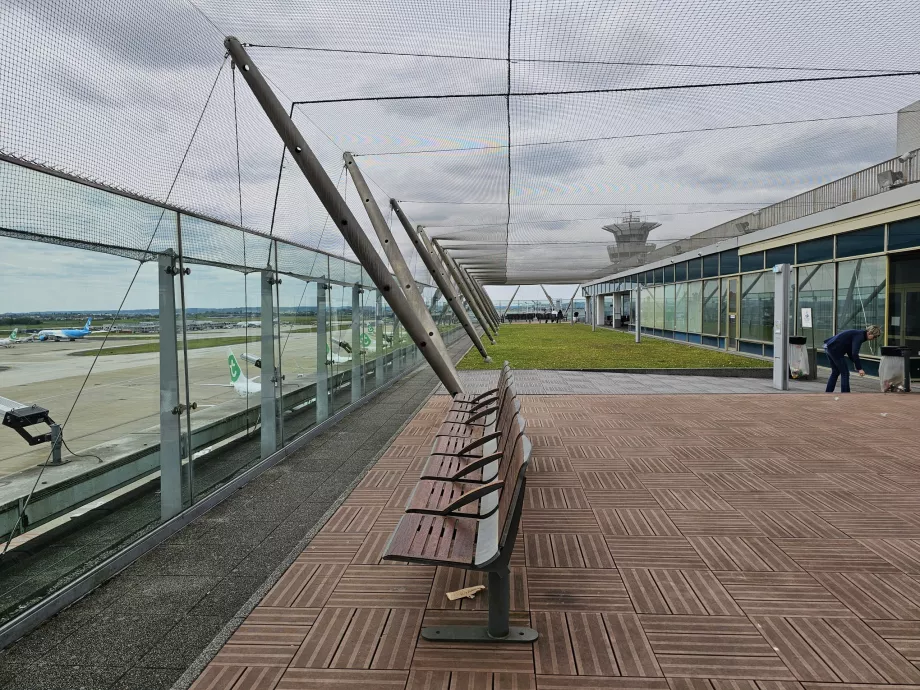 Terraza mirador