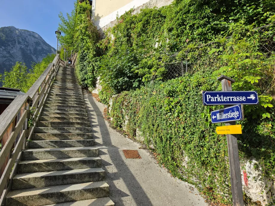 Escaleras: el inicio del sendero que sube al Salzberg