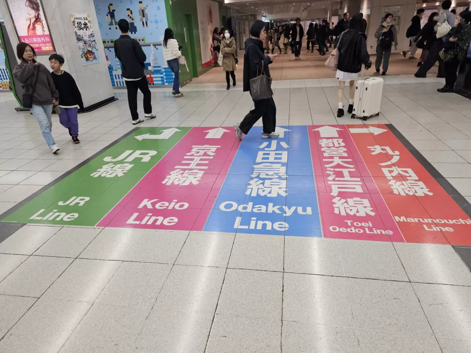 Orientación en la estación de Shinjuku