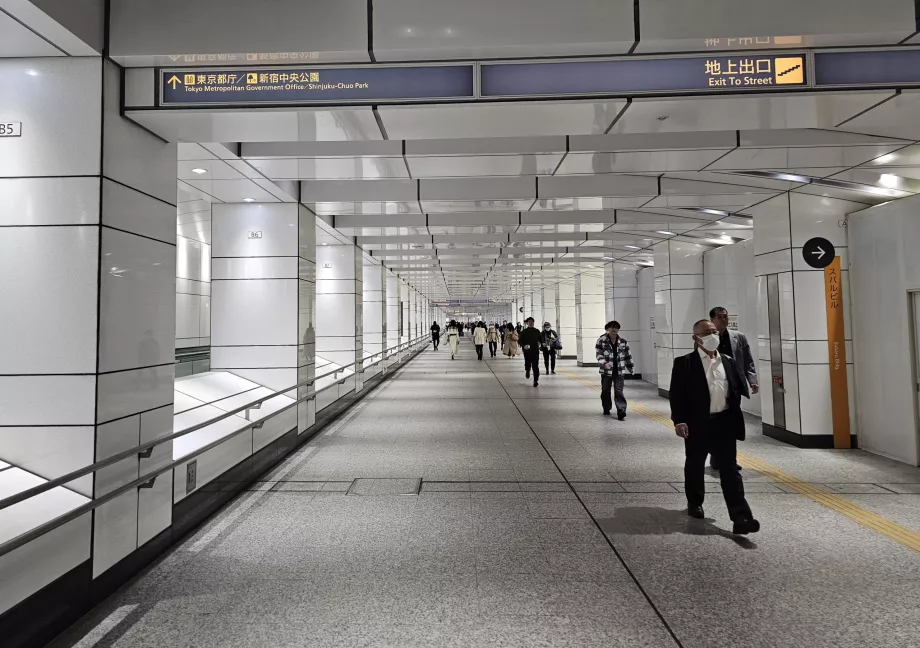 Trayecto de la estación de Shinjuku al edificio del Gobierno Metropolitano de Tokio