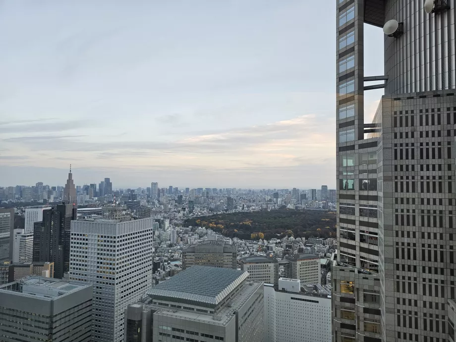 Edificio del Gobierno Metropolitano de Tokio
