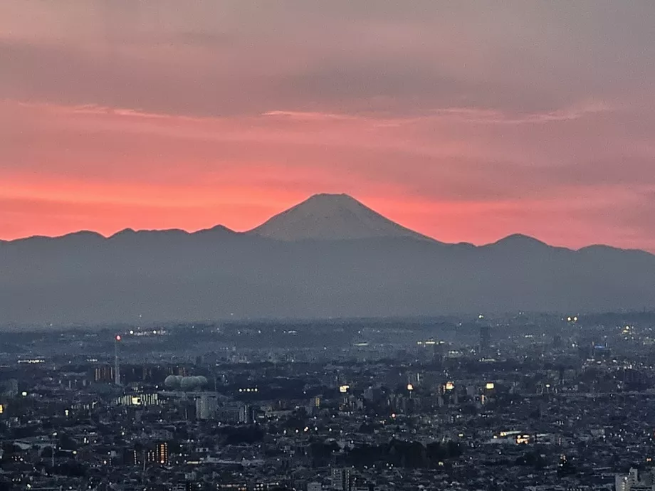 Monte Fuji desde el edificio del Gobierno Metropolitano de Tokio