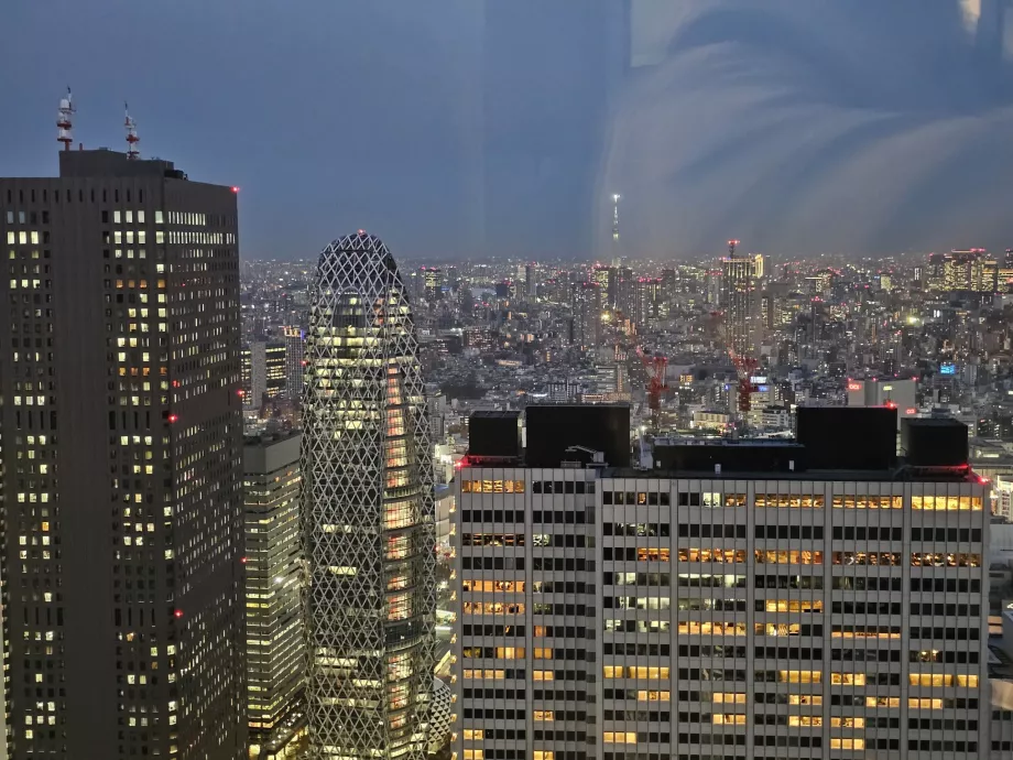Edificio del Gobierno Metropolitano de Tokio