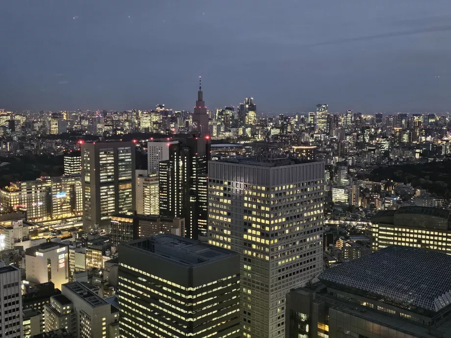 Edificio del Gobierno Metropolitano de Tokio
