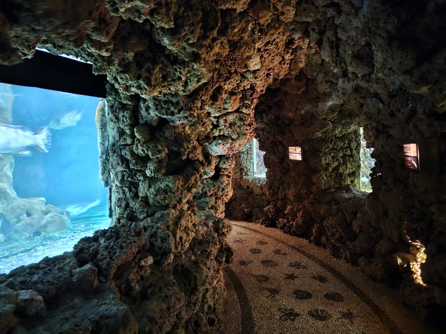 Acuario de Rodas
