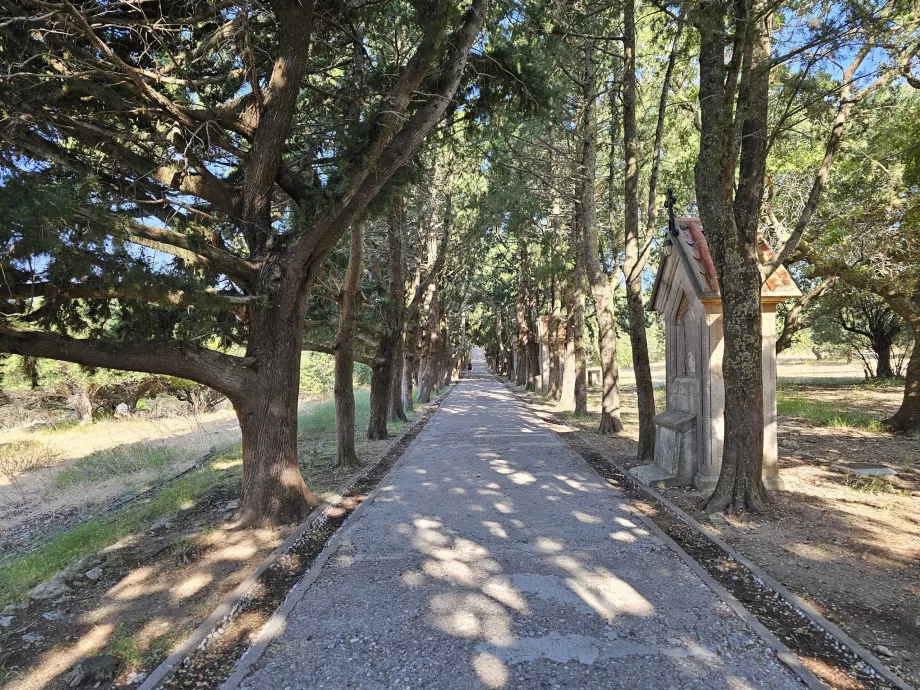 Callejón de los Filérimos