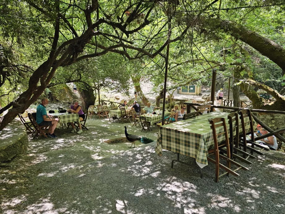 Restaurante en el Seven Springs
